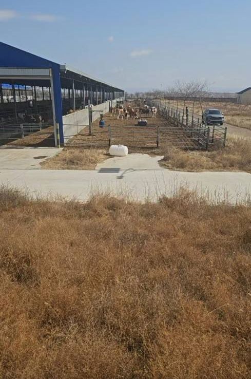 养牛场出售转让